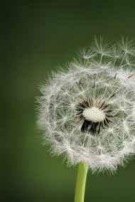 Дмитрий Дмитриев - Мое лето