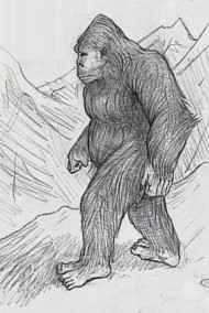 Постников Юрий читать онлайн Встреча с Йети