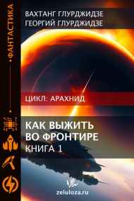 Георгий Глурджидзе читать онлайн АРАХНИД — Как выжить во фронтире 1