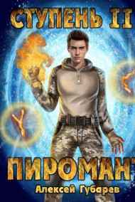 Алексей Губарев читать онлайн Ступень 2 Младший ученик