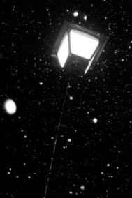 Отто Заубер - Из ранних моих рассказов 8.