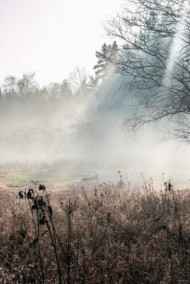 Постников Юрий читать онлайн В туман