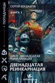 Богдашов Сергей читать онлайн Двенадцатая реинкарнация 3
