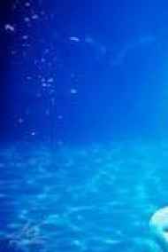 Игорь Коркин читать онлайн Остров Желаний