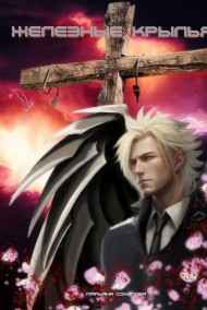 Марьяна Соколова читать онлайн Железные крылья