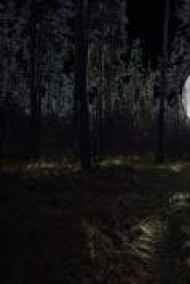 Ника Лай читать онлайн Глубокий темный лес