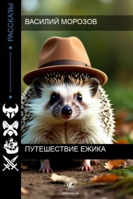 Василий Морозов читать онлайн Путешествие Ежика