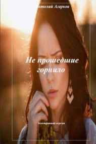 Анатолий Агарков читать онлайн Не прошедшие горнило