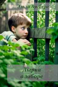 Эльза Аусберг читать онлайн Дырка в заборе