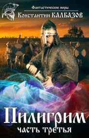 Калбазов Константин читать онлайн Пилигрим. Реформатор