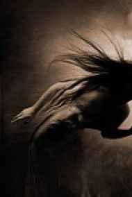 Сара Шторм читать онлайн НЕЛИКВИД