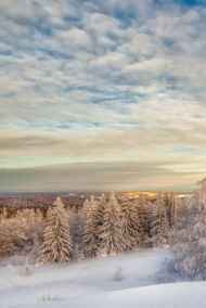 Постников Юрий читать онлайн Зимняя ловушка