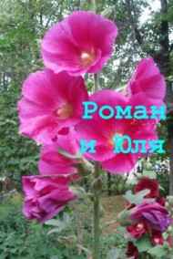 АнКор читать онлайн Роман и Юля