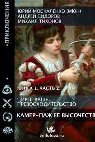 Юрий Москаленко (МЮН) читать онлайн Камер-паж её высочества