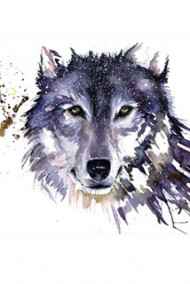 Solovei читать онлайн Последний из рода