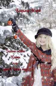 VladimirJhirov читать онлайн Зимние забавы Кнопы или Чудеса в Новом году