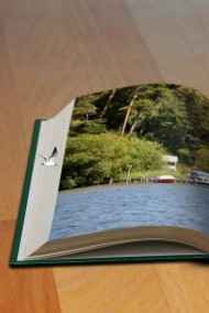 Приключения Целюлозика