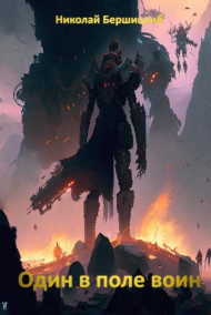 Бершицкий Николай Олегович читать онлайн Один в поле воин