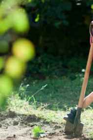 Марина Орлова читать онлайн Шесть желтых лопат