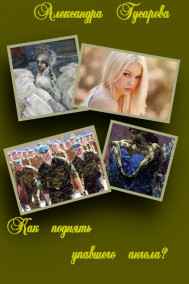 Александра Гусарова читать онлайн Как поднять упавшего ангела?