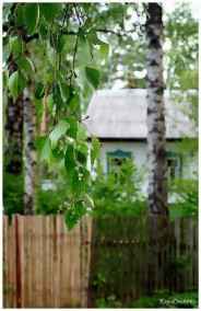 Елена Цоц читать онлайн Горечь березового сока