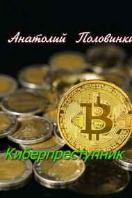 Анатолий Половинкин - Киберпреступник