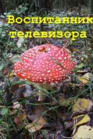 АнКор читать онлайн Воспитанники телевизора