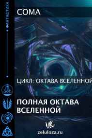 Coma читать онлайн Полная октава Вселенной