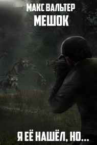 Макс Вальтер читать онлайн Я её нашёл, но...