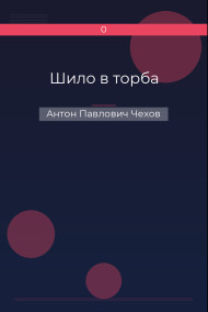 Обложка книги Шило в торба