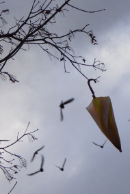 Ветер перемен