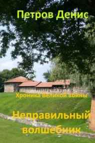 Петров Денис читать онлайн Неправильный волшебник