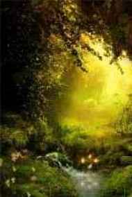 Наталья Шкуриндина - Тайна Лукоморья.