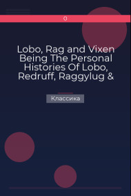 Lobo, Rag and Vixen  Being The Personal Histories Of Lobo, Redruff, Raggylug & Vixen