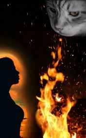 Юлия Сорокина читать онлайн Встреча