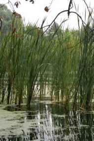 Городков Станислав читать онлайн Такое, вот, кино...