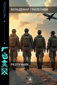 Вольдемар Грилелави читать онлайн Разлучник. Начало новой жизни