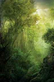 Игра в Жизнь.