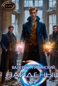 Гуминский Валерий читать онлайн Найдёныш 14. Охота за тенями