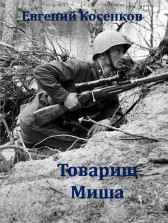 Товарищ Миша Евгений Косенков