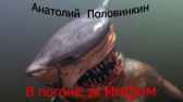 В погоне за мифом Анатолий Половинкин