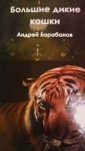 Две банки китайского пива Андрей Барабанов