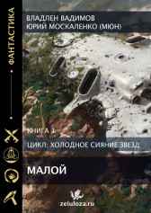 Малой. Книга первая Владлен Вадимов