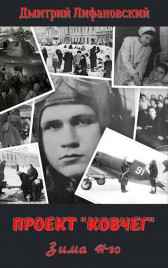 Проект "Ковчег". Зима 41-го. Дмитрий Лифановский