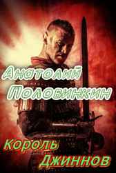 Он попал не туда Анатолий Половинкин
