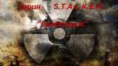 S.T.A.L.K.E.R. Гробовщик М. Горан