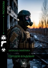 Записки Смайлика Городов Владимир