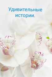 Удивительные истории. Ольга Шуть