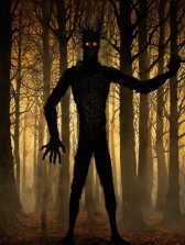 Тень на тропе Алина Зорькина