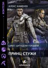 Цитадели гордыни 4. Ярость Стихий Алекс Каменев